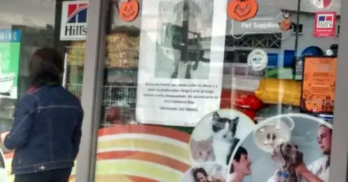 CEBA MASCOTAS AVENIDA CALLE 127 CON 60 CEBA MASCOTAS AVENIDA CALLE 127 CON 60